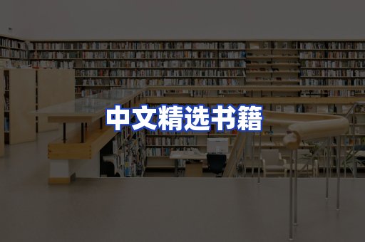 中文精选书籍